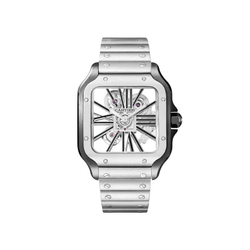 Santos de Cartier Large Skeleton ADLC